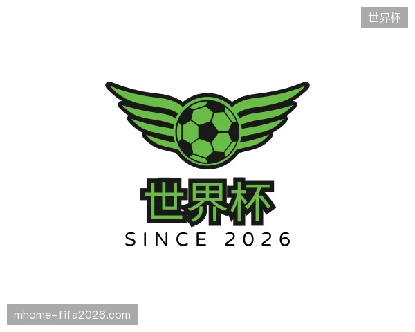 关于世界杯中国官网